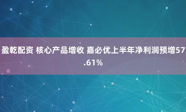 盈乾配资 核心产品增收 嘉必优上半年净利润预增57.61%